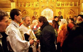 Toxicodependentes na região de Sapernoe São Petersburgo