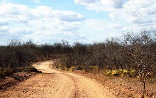 Estrada Betania em Custódia, sertão de Pernambuco