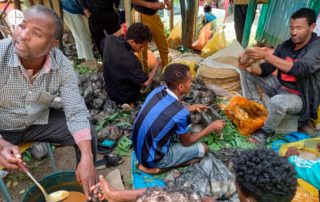 Refugiados da Etiopia