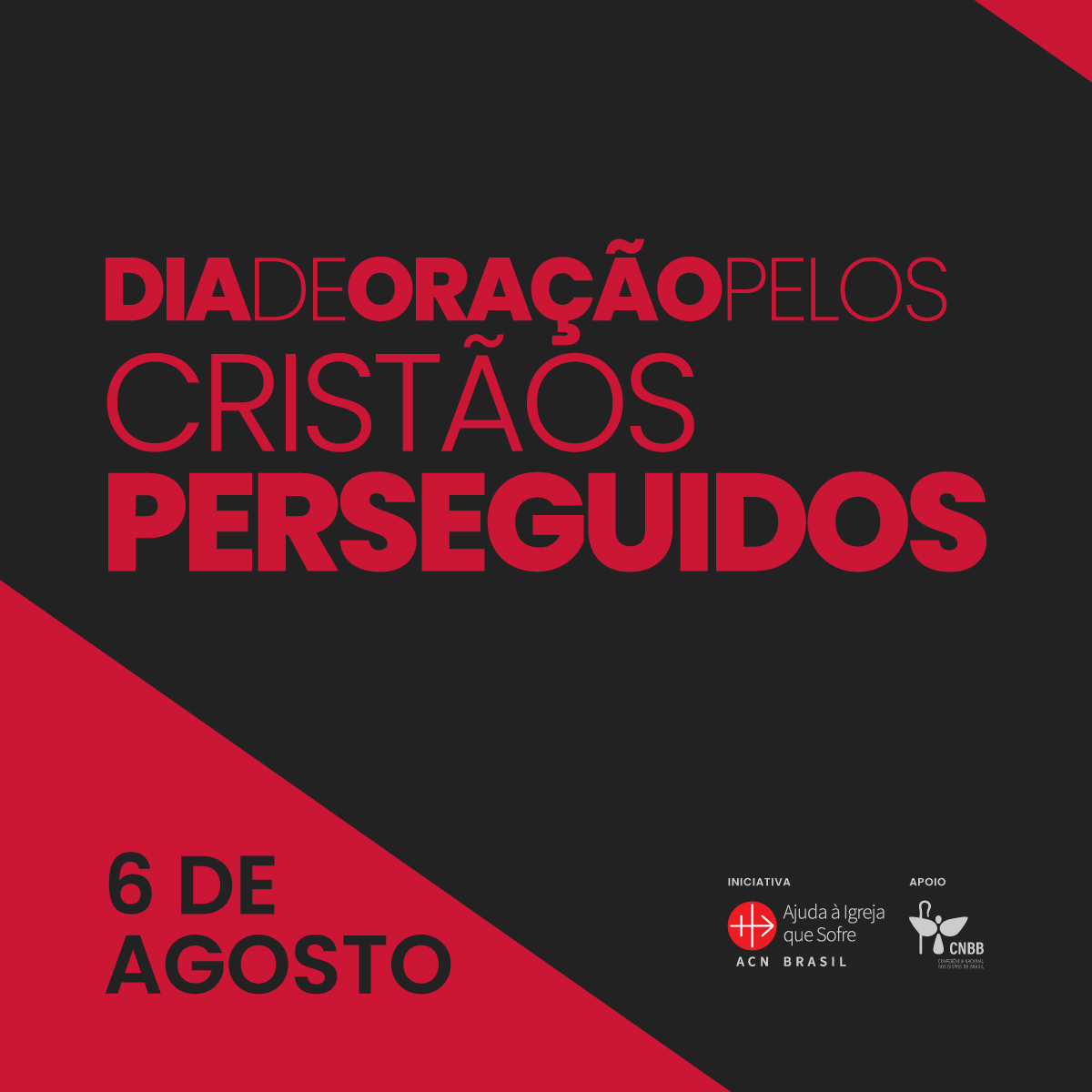 ACN-6_de_Agosto-THUMBnail